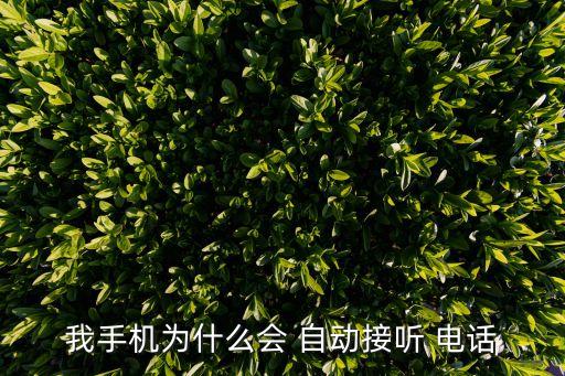 MIUI自動撥打電話,三星手機怎么設(shè)置電話鈴聲?