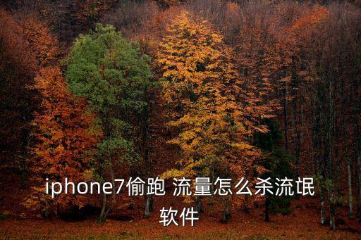 iphone7偷跑 流量怎么殺流氓軟件