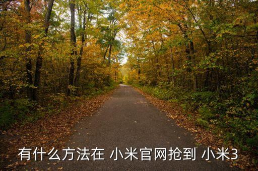 有什么方法在 小米官網(wǎng)搶到 小米3