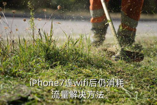 iPhone7連wifi后仍消耗 流量解決方法