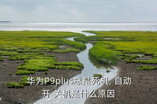  華為P9plus總是死機(jī), 自動開 關(guān)機(jī)是什么原因
