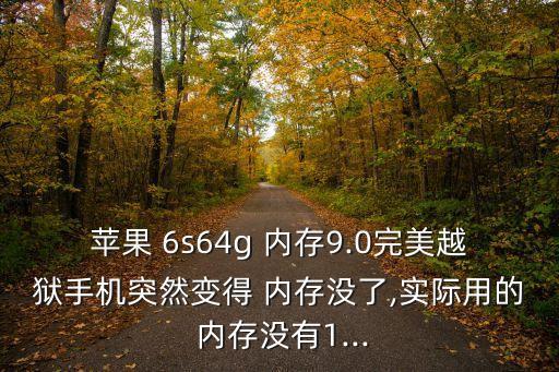 6s內(nèi)存一直自動(dòng)減少,手機(jī)使用時(shí)間長了會(huì)產(chǎn)生很多緩存