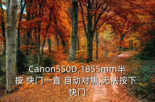 單反半按快門自動對焦,半自動對焦和手動輔助對焦各有不同