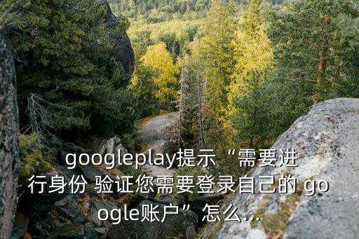  googleplay提示“需要進行身份 驗證您需要登錄自己的 google賬戶”怎么...