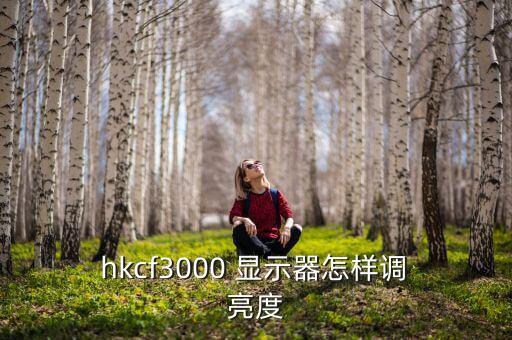 hkc顯示器自動(dòng)調(diào)節(jié)亮度,hkc顯示器常見(jiàn)故障及維修方法1