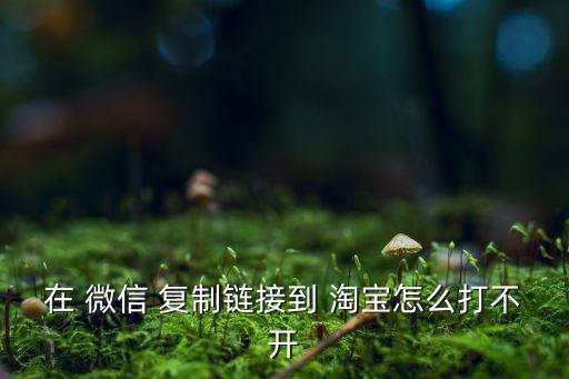 微信自動(dòng)復(fù)制淘寶,如何在微信上復(fù)制淘寶軟件?