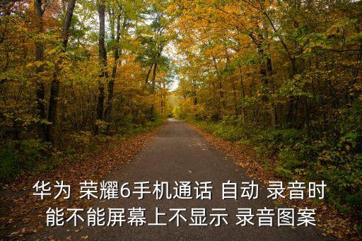 華為 榮耀6手機(jī)通話 自動(dòng) 錄音時(shí)能不能屏幕上不顯示 錄音圖案
