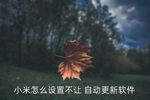 如何禁止app自動(dòng)升級(jí),如何下載安裝小米手機(jī)應(yīng)用?