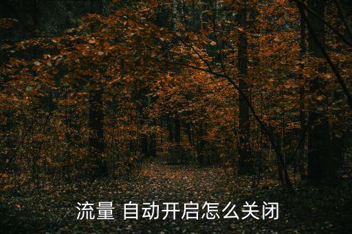  流量 自動開啟怎么關(guān)閉