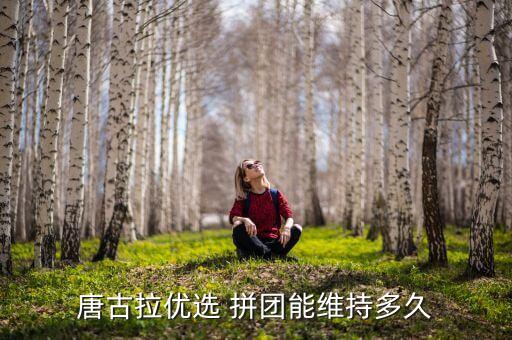 自動拼團,當(dāng)當(dāng)網(wǎng)拼團可持續(xù)五天以消費者為中心
