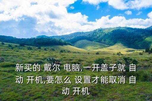 戴爾電腦設(shè)置自動(dòng)開機(jī),戴爾筆記本打開自動(dòng)開機(jī)過(guò)程如何進(jìn)行?