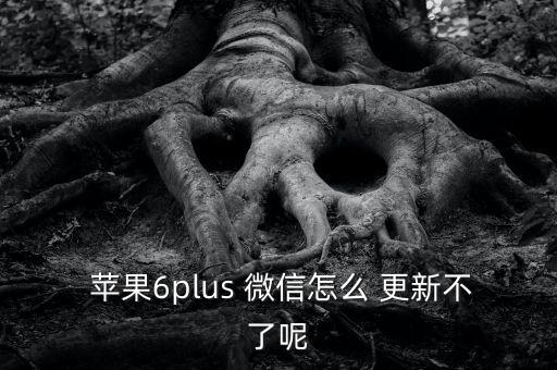  蘋(píng)果6plus 微信怎么 更新不了呢