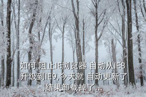 如何 阻止IE瀏覽器 自動從IE8 升級到IE9,今天就 自動更新了,結果卸載掉了...