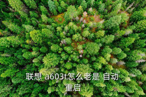  聯(lián)想 a603t怎么老是 自動 重啟