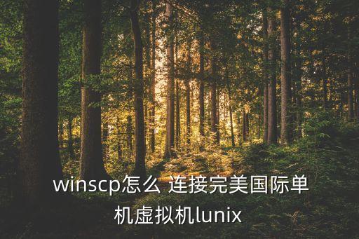 winscp后臺(tái)自動(dòng)連接sftp代碼,選擇是否使用安卓
