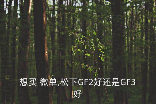 想買 微單,松下GF2好還是GF3好