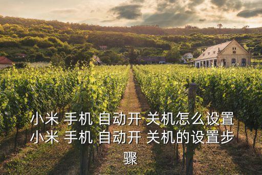  小米 手機(jī) 自動(dòng)開 關(guān)機(jī)怎么設(shè)置 小米 手機(jī) 自動(dòng)開 關(guān)機(jī)的設(shè)置步驟