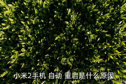  小米2手機(jī) 自動(dòng) 重啟是什么原因