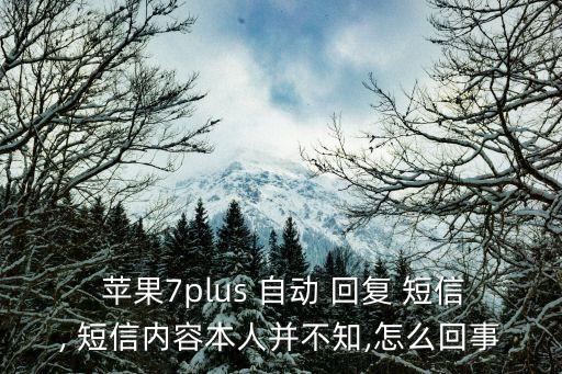 蘋果自動(dòng)回復(fù)短信功能嗎,如何恢復(fù)短信功能?
