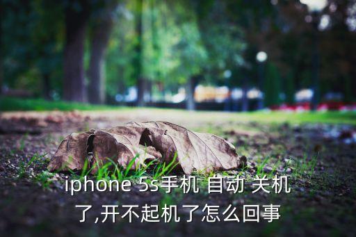 iphone 5s手機 自動 關機了,開不起機了怎么回事