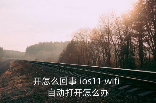 更新了ios11自動開wifi,手機怎么辦?