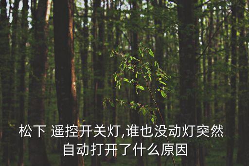 遙控吸頂燈自動(dòng)亮,如何使用吸力頂燈?這些注意事項(xiàng)要知道!
