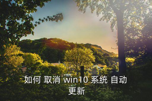 win10取消系統(tǒng)自動更新,如何安裝和使用?