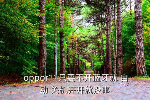 oppor11只要不開藍(lán)牙就 自動 關(guān)機(jī)開開就沒事