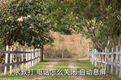 打完電話自動鎖屏,三星手機設置接近傳感器防誤觸屏