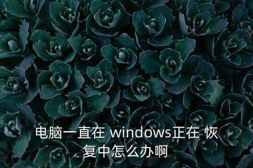 電腦一直在 windows正在 恢復(fù)中怎么辦啊