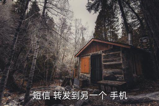  短信 轉(zhuǎn)發(fā)到另一個(gè) 手機(jī)
