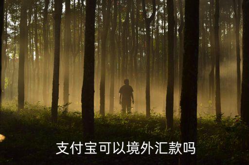 支付寶自動(dòng)購(gòu)匯支付,支付寶國(guó)際支付服務(wù)將提供國(guó)際匯款服務(wù)