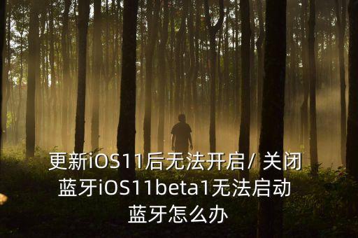 ios11藍牙自動關(guān)閉,怎么關(guān)閉藍牙和wifi?