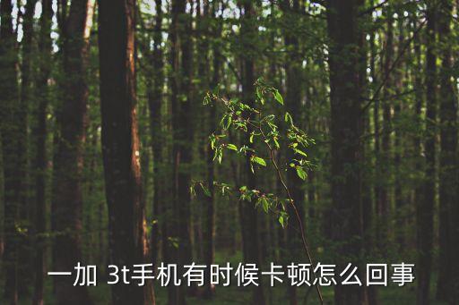  一加 3t手機有時候卡頓怎么回事