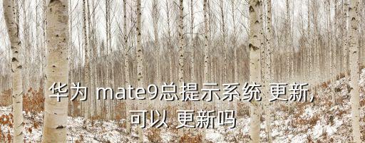 華為 mate9總提示系統(tǒng) 更新,可以 更新嗎