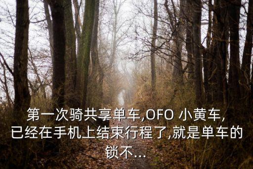 第一次騎共享單車,OFO 小黃車,已經(jīng)在手機(jī)上結(jié)束行程了,就是單車的鎖不...
