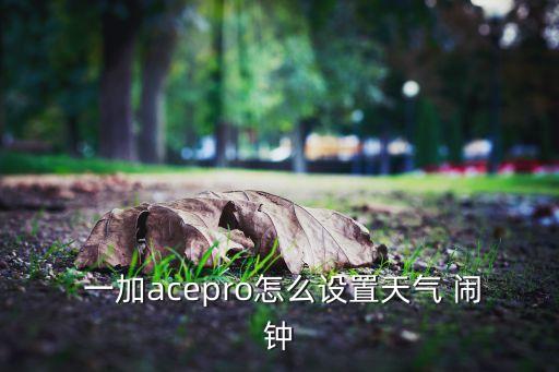  一加acepro怎么設(shè)置天氣 鬧鐘