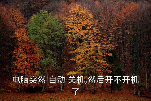 電腦突然 自動(dòng) 關(guān)機(jī),然后開不開機(jī)了