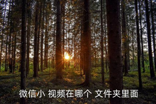 微信自動錄制小視頻在哪個文件夾里,微信肖視頻怎么保存?