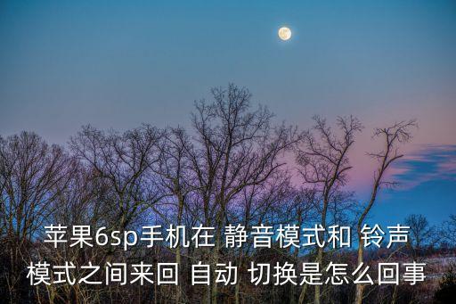 蘋果6sp手機在 靜音模式和 鈴聲模式之間來回 自動 切換是怎么回事