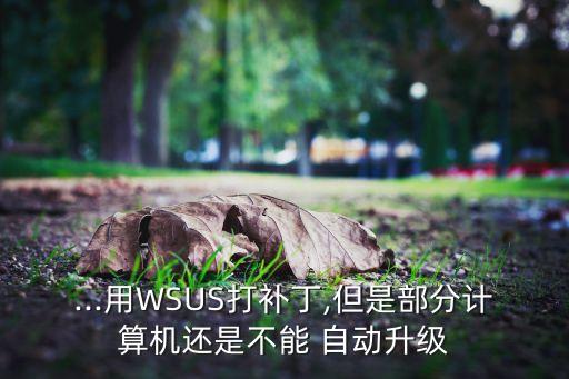 wsus自動審批,搜索無法升級系統(tǒng)工具可修改系統(tǒng)sid