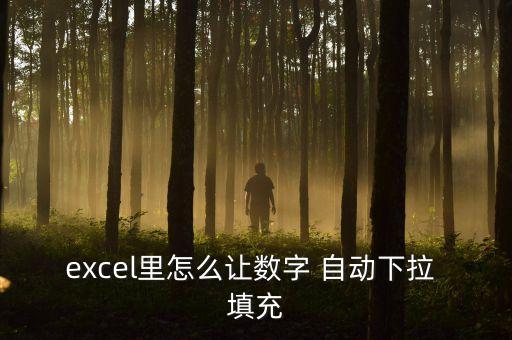 excel里怎么讓數(shù)字 自動(dòng)下拉 填充