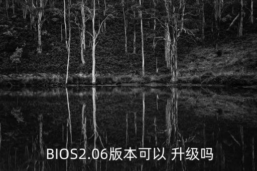  BIOS2.06版本可以 升級(jí)嗎