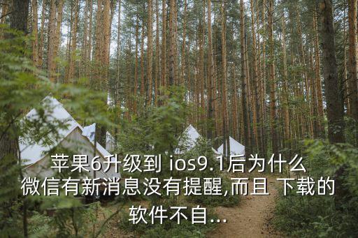 蘋(píng)果6升級(jí)到 ios9.1后為什么微信有新消息沒(méi)有提醒,而且 下載的軟件不自...
