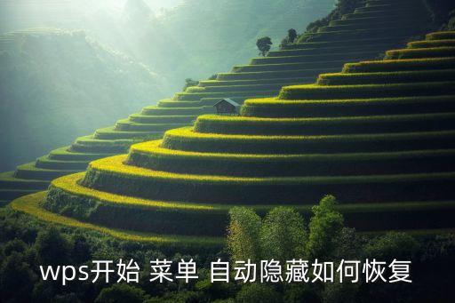 wps開始 菜單 自動隱藏如何恢復