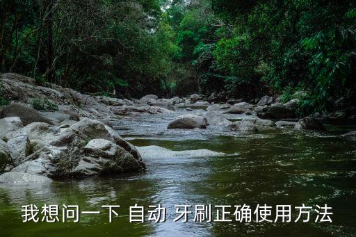 我想問一下 自動(dòng) 牙刷正確使用方法