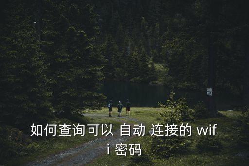 已經(jīng)自動連接wifi密碼,怎么看?wiwifi怎么辦?