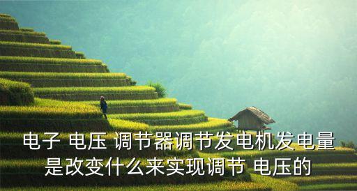 apc自動(dòng)電壓調(diào)節(jié)器,康明斯發(fā)電機(jī)備件包括自動(dòng)電壓調(diào)節(jié)器