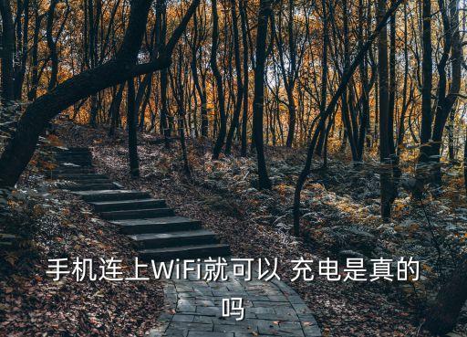 手機(jī)連上WiFi就可以 充電是真的嗎