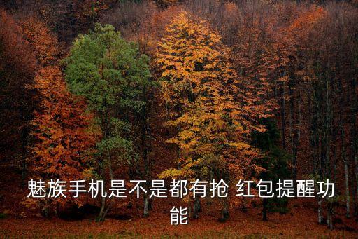 魅族紅包助手自動(dòng)搶,微信紅包提醒可設(shè)置試聽音樂選項(xiàng)